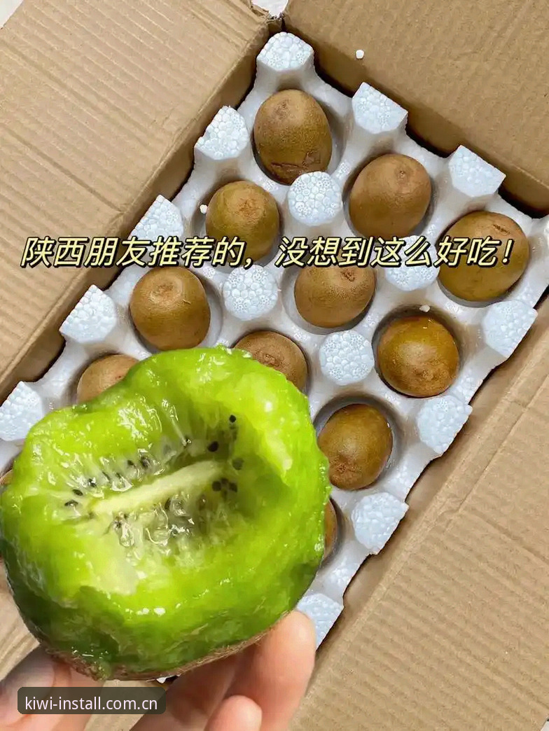 奇异果体育专业解说常见问题最新动态：v2.6.0版本功能与使用全解析
