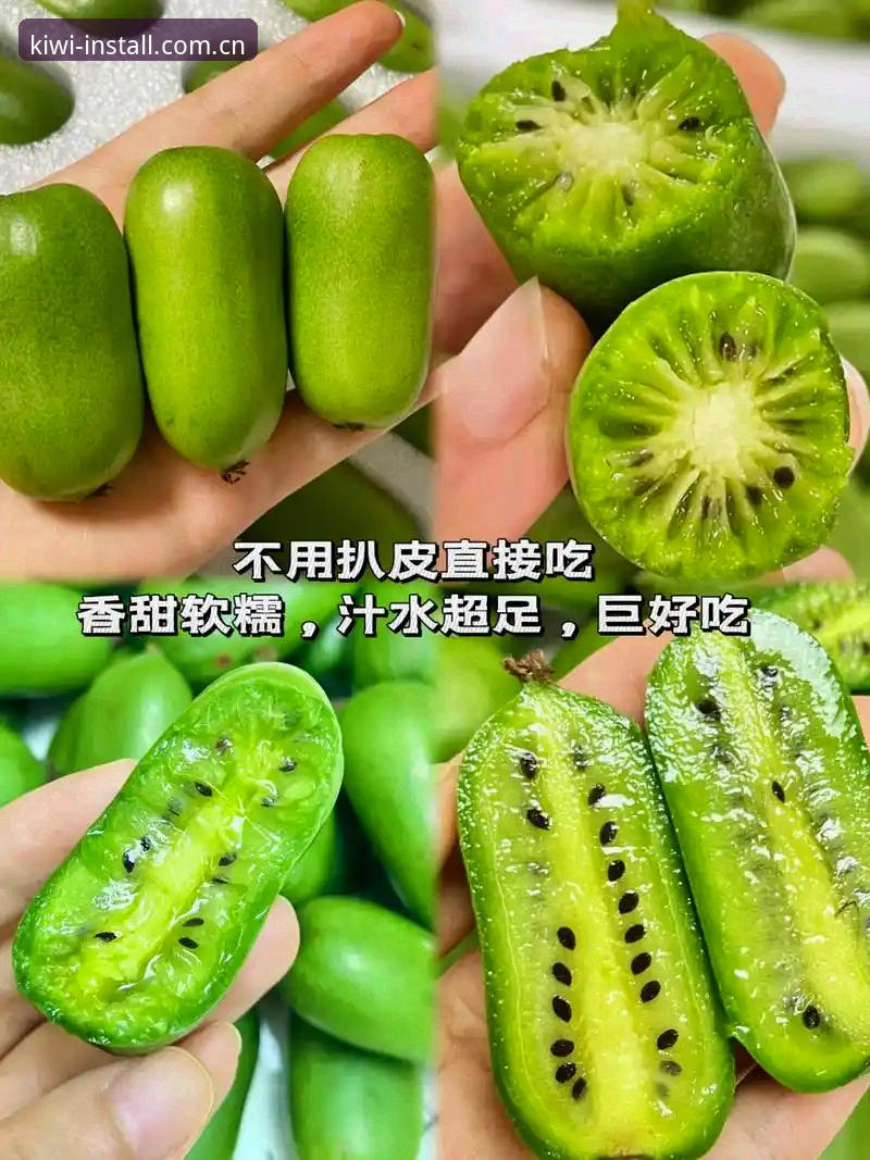 奇异果体育专业解说实用指南：从安装到深度解析的全流程技巧